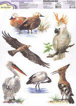 Mr. Painter Декоративные для окон OK-12 В мире птиц №4