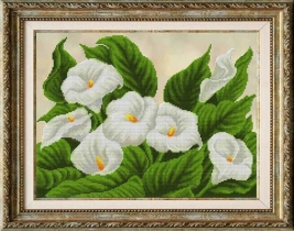 Рисунок на ткани для вышивки бисером КС-3002 Каллы