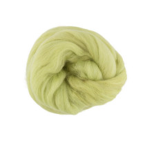 " Gamma" TFS- 050 " Шерсть для валяния" 100% полутонкая шерсть 50г №1006 липа