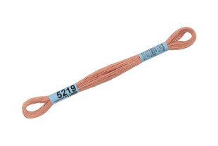 Нитки для вышивания " Gamma" мулине ( 3173- 6115 ) 100% хлопок 8 м №5219 бежево- розовый