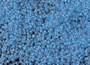 Бисер Чехия круглый 10/0 50г 38365m матовый крашенный из середины голубой