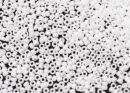 Бисер Япония MIYUKI Seed Beads 15/0 5г 0402 белый непрозрачный