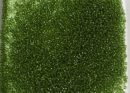 Бисер Япония MIYUKI Seed Beads 15/0 5г 0158 оливковый прозрачный